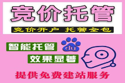 案例剖析：SEM服务助力企业转型